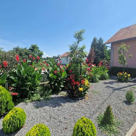 B&B Majhen Kopacevo ภายนอก รูปภาพ