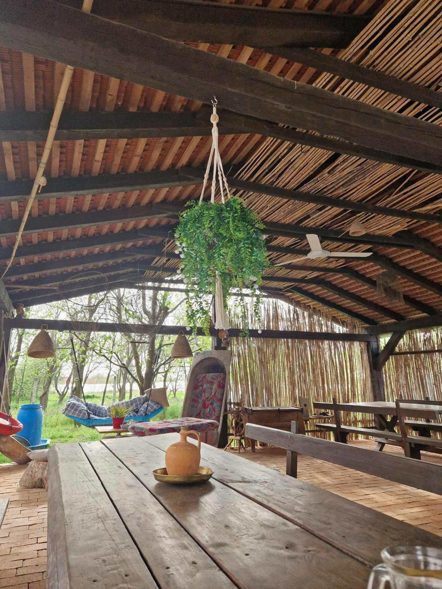 B&B Majhen Kopacevo ภายนอก รูปภาพ