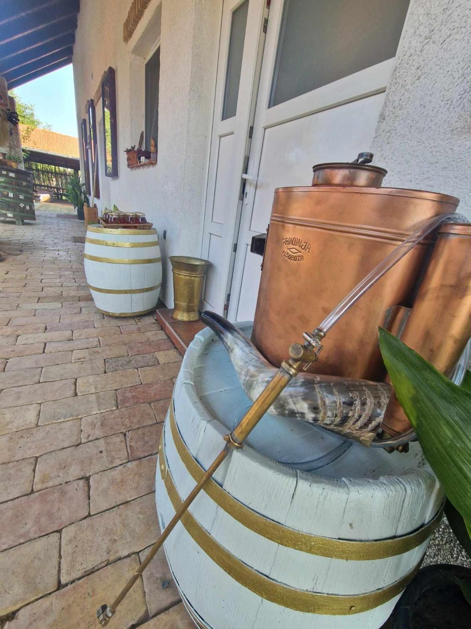 B&B Majhen Kopacevo ภายนอก รูปภาพ