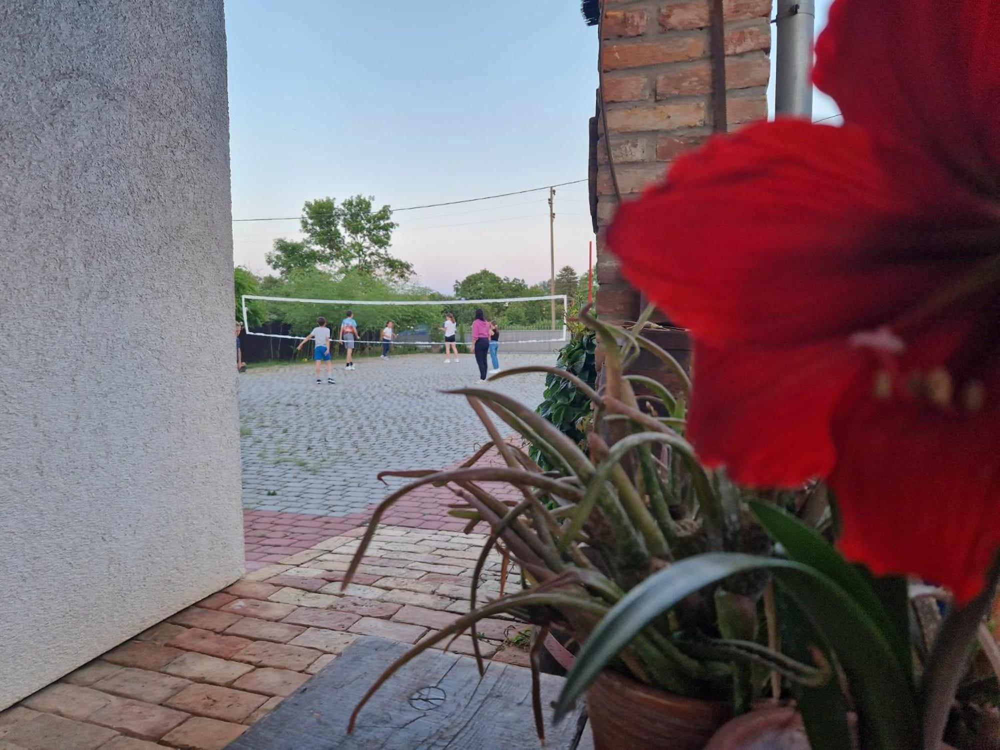 B&B Majhen Kopacevo ภายนอก รูปภาพ